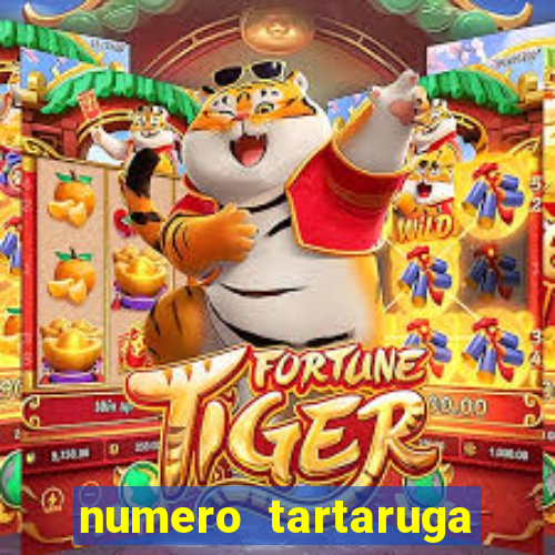 numero tartaruga jogo do bicho